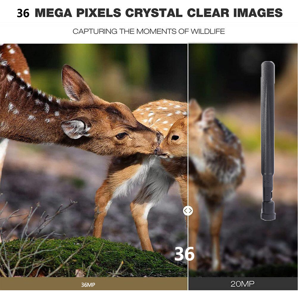 HC-801Pro Outdoor Hunting Came - Outdoor Hunting Pictures recension och pris
